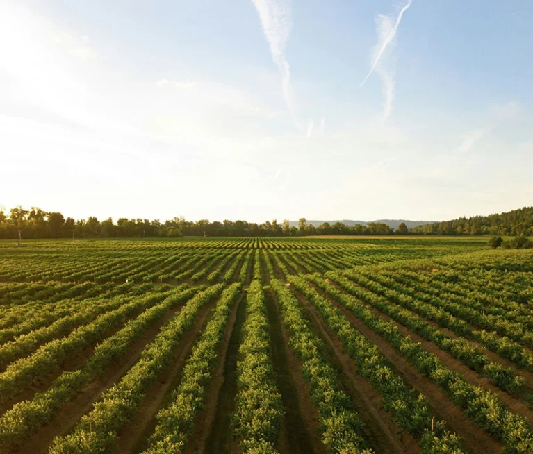 Accelerate innovation with world-class tech teams We’ll match you