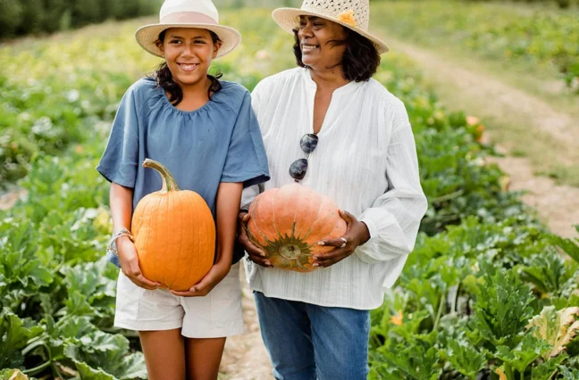 Ultrices sagittis orci a scelerisque purus semper eget duis at. Sollicitudin nibh sit amet.